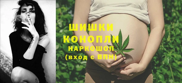 молекула духа Горно-Алтайск