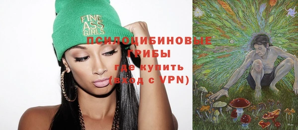 молекула духа Горно-Алтайск