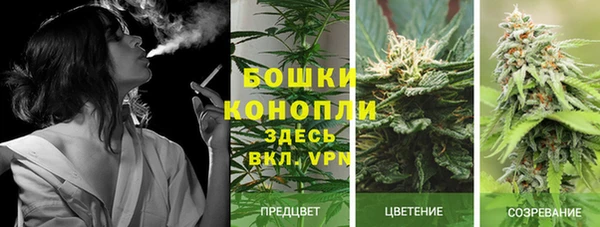 молекула духа Горно-Алтайск