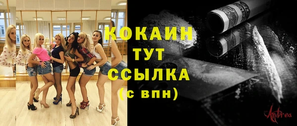 молекула духа Горно-Алтайск