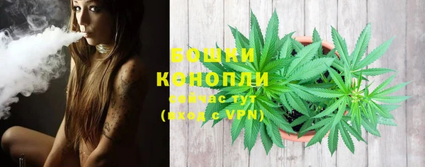 a pvp Горнозаводск