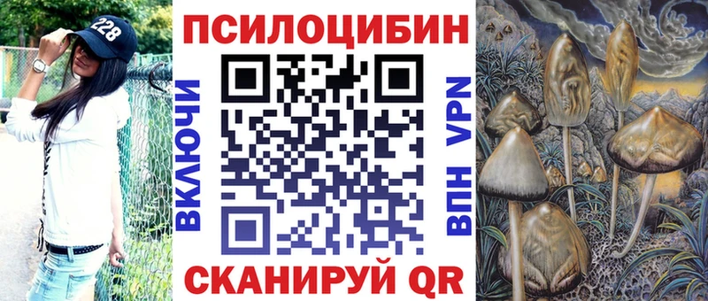 Псилоцибиновые грибы мицелий  Купить закладки  Рошаль 